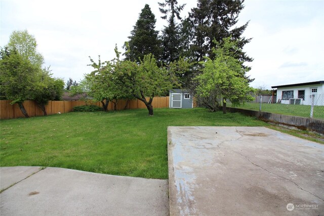 view of yard with a patio and a storage shed