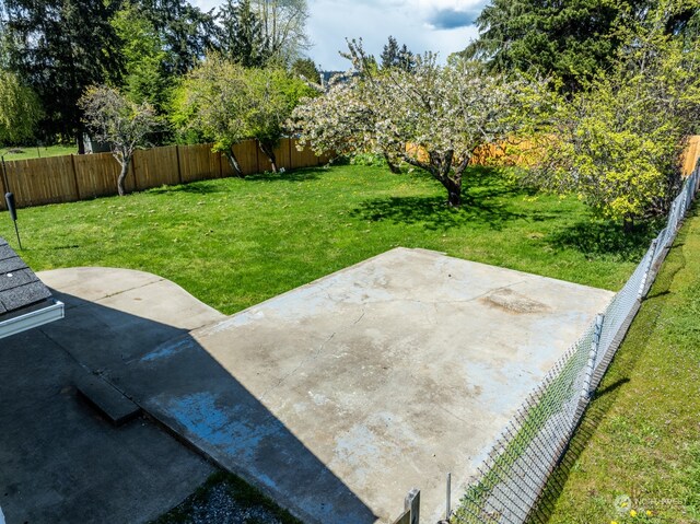 view of yard with a patio area