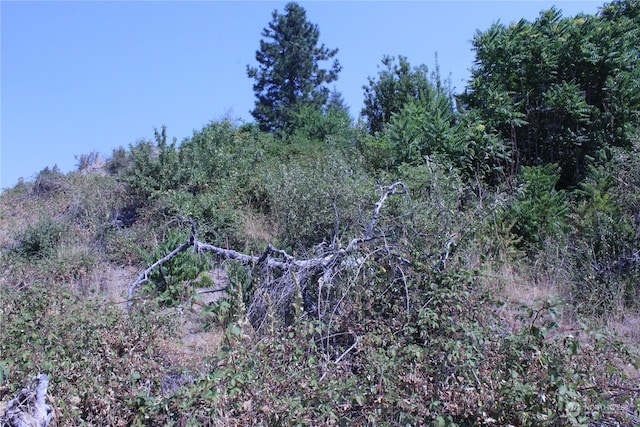 0 Olive Ave, Manson, WA 98831