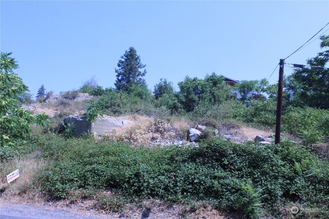 0 Olive Ave, Manson, WA 98831