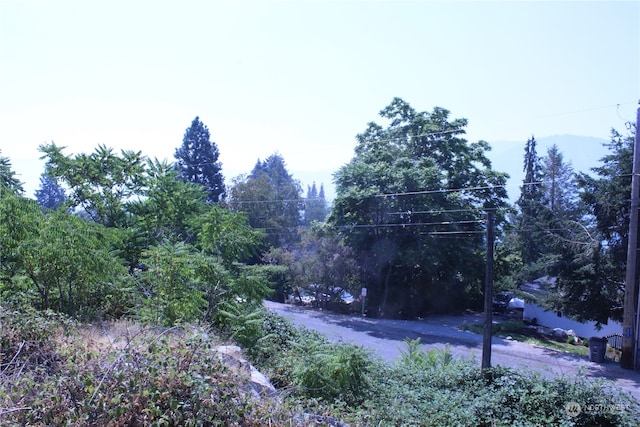 0 Olive Ave, Manson, WA 98831