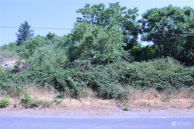 0 Olive Ave, Manson, WA 98831