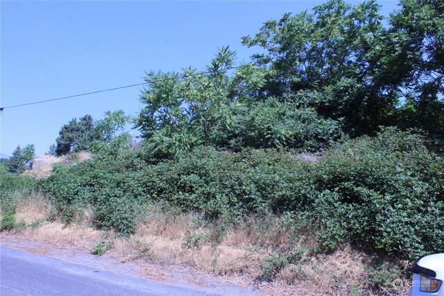 0 Olive Ave, Manson, WA 98831