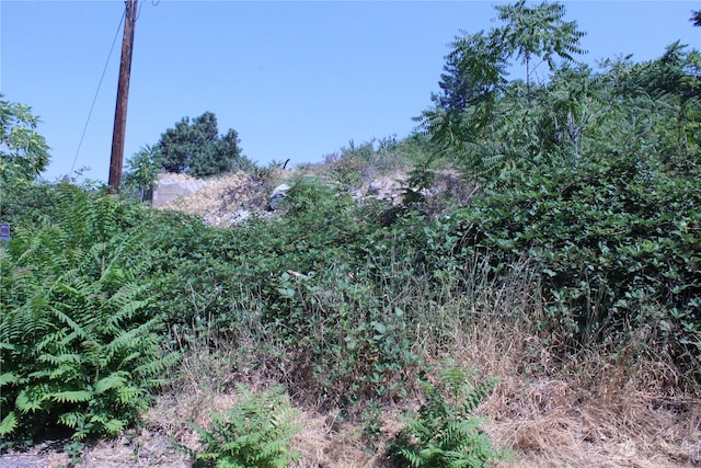 0 Olive Ave, Manson, WA 98831