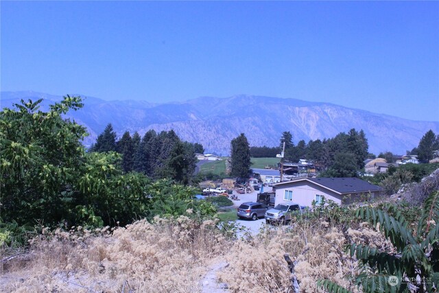 0 Olive Ave, Manson, WA 98831