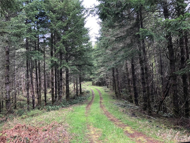 217XX Thompson Creek Rd, Tenino, WA 98589
