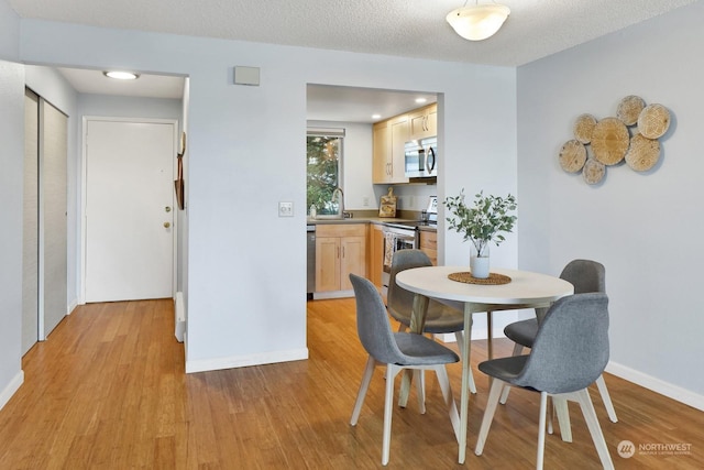 dining room with sink, a textured ceiling, and light wood-type flooring