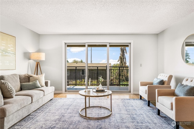 living room with hardwood / wood-style flooring and a textured ceiling