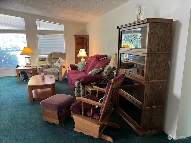 living area with lofted ceiling, carpet flooring, and a textured ceiling