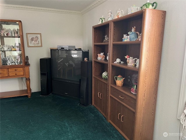 interior space with dark colored carpet and ornamental molding