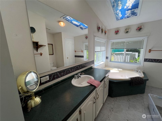 bathroom with vanity, a bathtub, and toilet