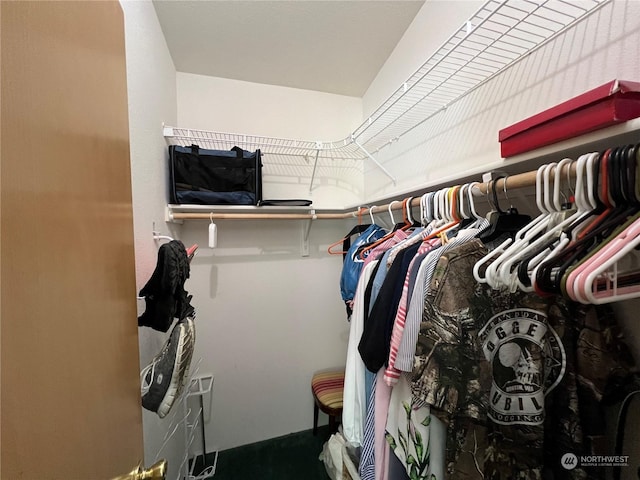 view of spacious closet