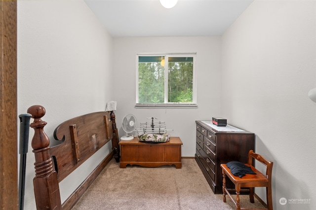 interior space with light colored carpet