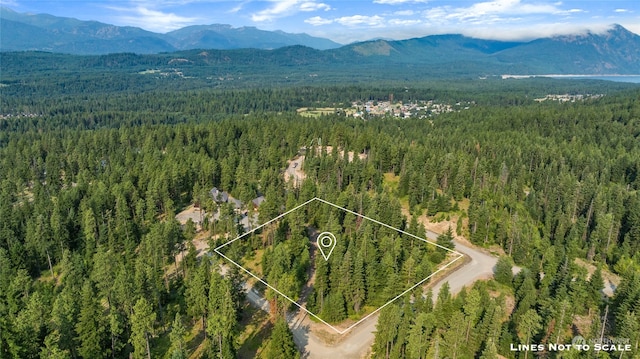 1000 R&R Heights Drive, Roslyn WA, 98941 land for sale