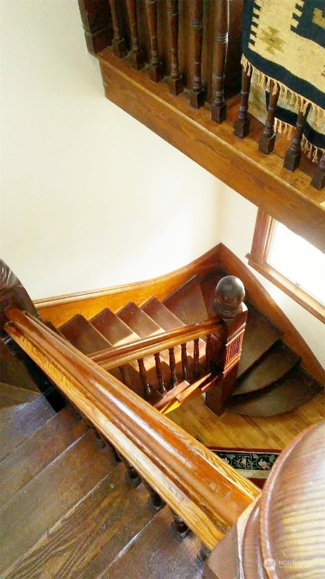 staircase with hardwood / wood-style flooring