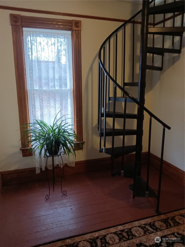 stairway featuring wood-type flooring