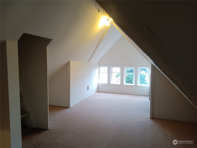 additional living space with carpet and lofted ceiling