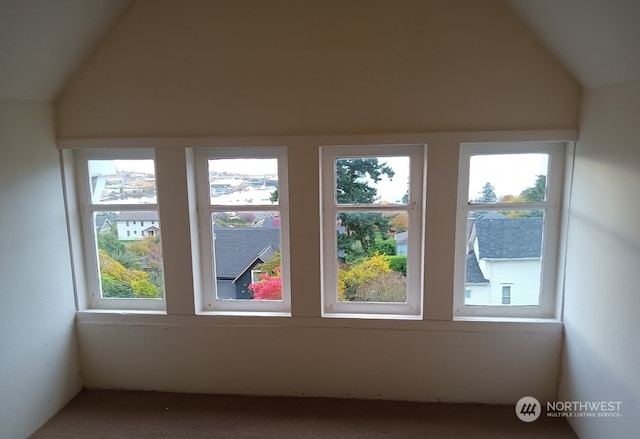 bonus room with a wealth of natural light and vaulted ceiling