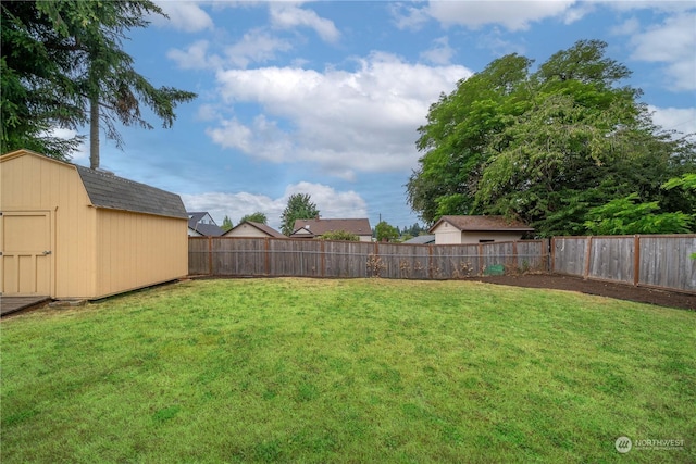 view of yard with a shed