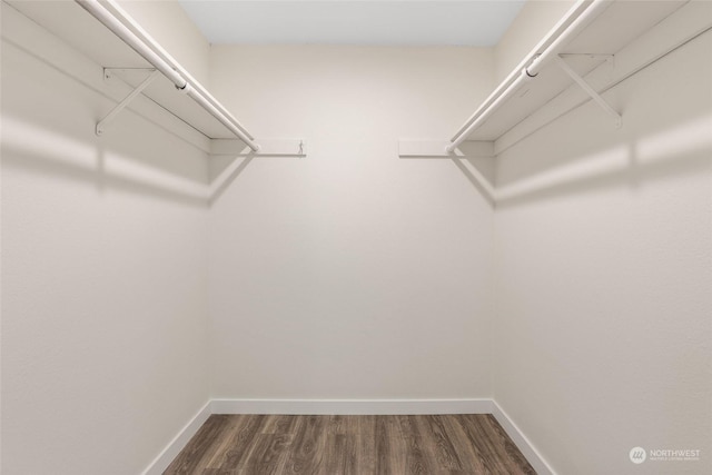 walk in closet featuring hardwood / wood-style floors