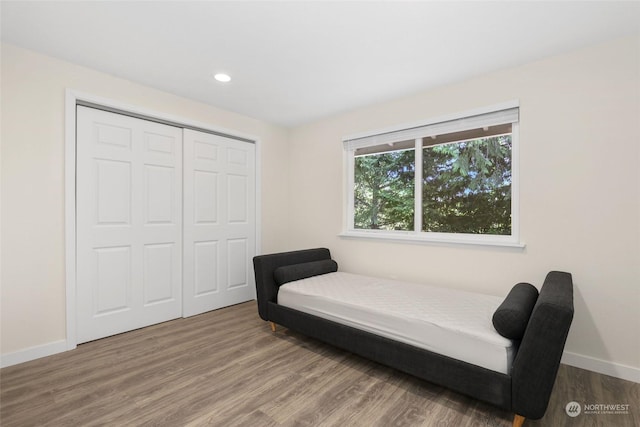 bedroom featuring wood-type flooring and a closet