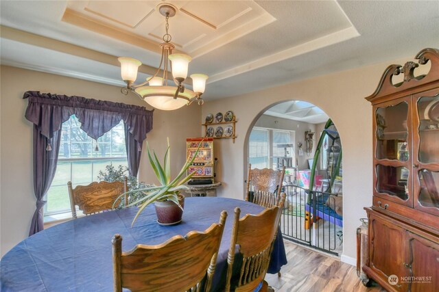 dining area featuring light hardwood / wood-style flooring, a tray ceiling, a wealth of natural light, and a chandelier