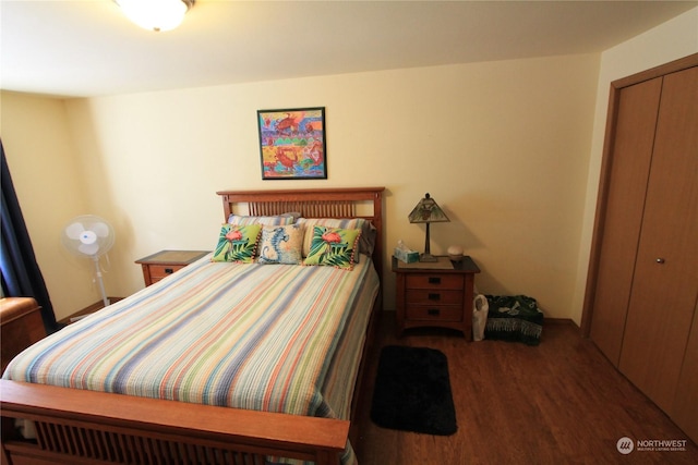 bedroom with dark wood finished floors and a closet