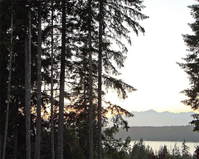 property view of mountains featuring a water view