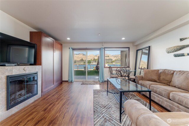 living room with a fireplace and light hardwood / wood-style floors