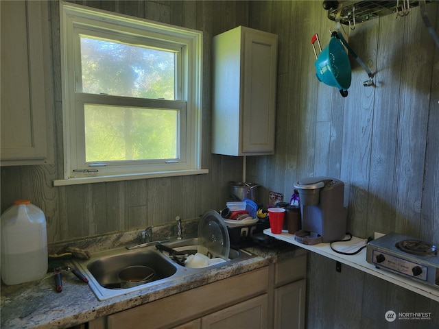 bathroom with wood walls, plenty of natural light, and sink