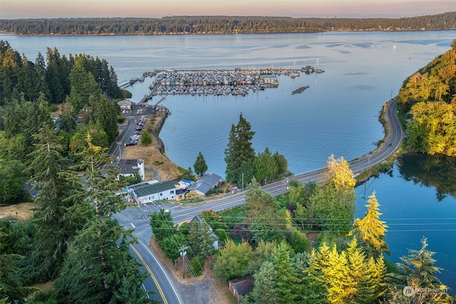 aerial view at dusk with a water view