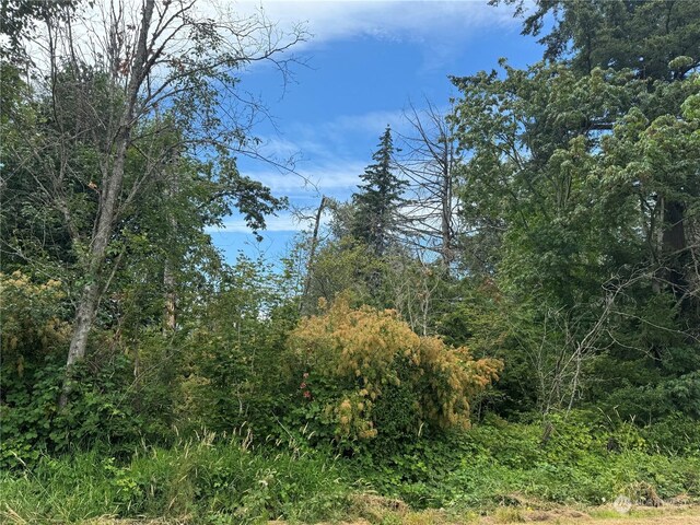 0 Harvey Rd, Blaine, WA 98230 - photo 6