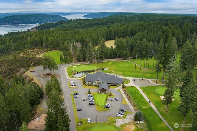 drone / aerial view with a view of trees and a water and mountain view