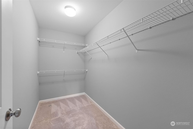 spacious closet with carpet