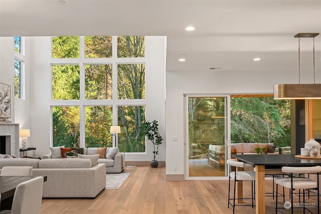 living room with a fireplace, a wealth of natural light, and light hardwood / wood-style flooring