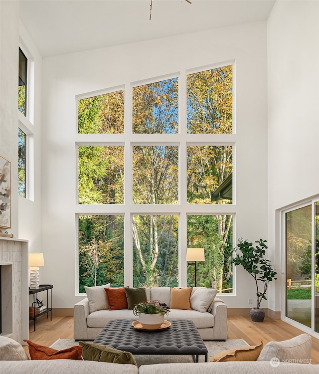 living room with high vaulted ceiling and hardwood / wood-style floors