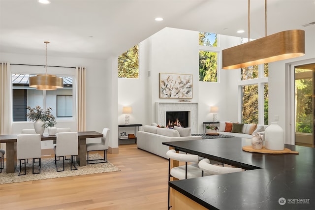 living room with light wood-type flooring