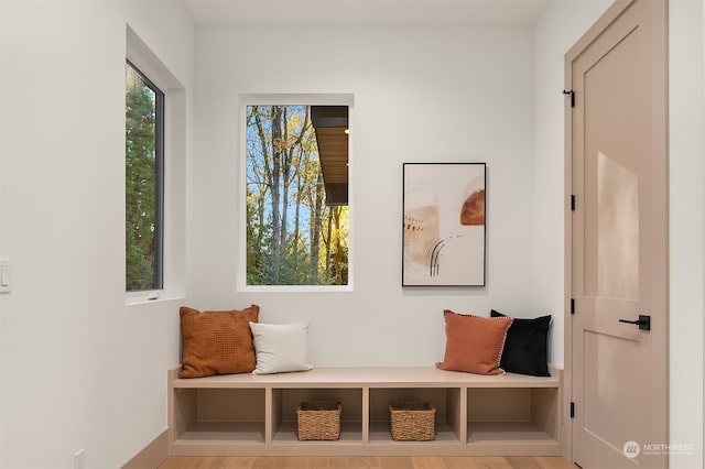 mudroom featuring light hardwood / wood-style floors