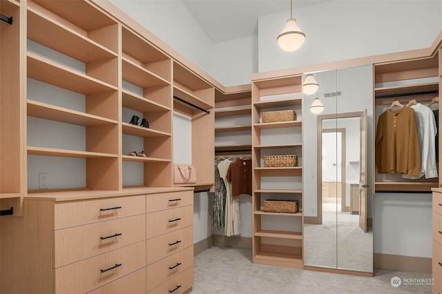 spacious closet featuring light carpet