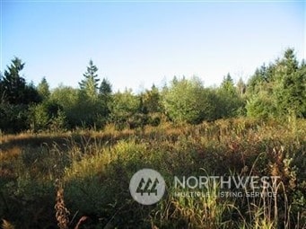 270 Avery Rd, Chehalis WA, 98532 land for sale