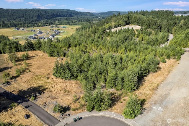 Listing photo 3 for 20323 Diamondhead Ln E, Orting WA 98360