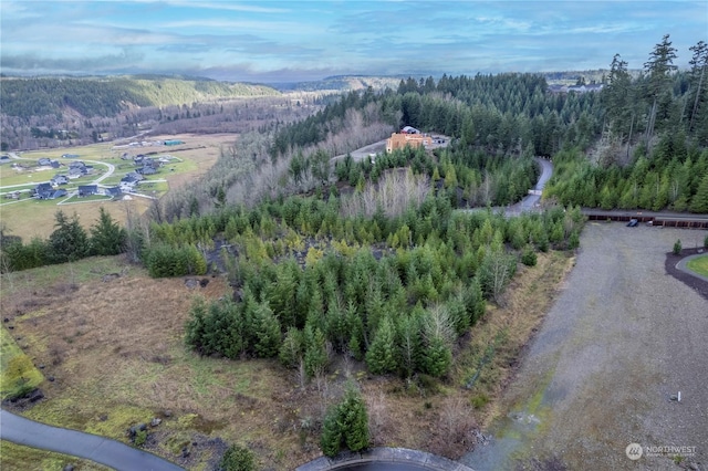 20323 Diamondhead Ln E, Orting WA, 98360 land for sale