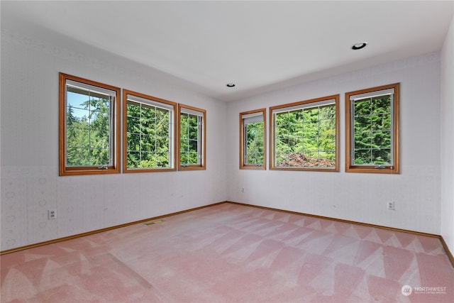 unfurnished room with plenty of natural light and carpet