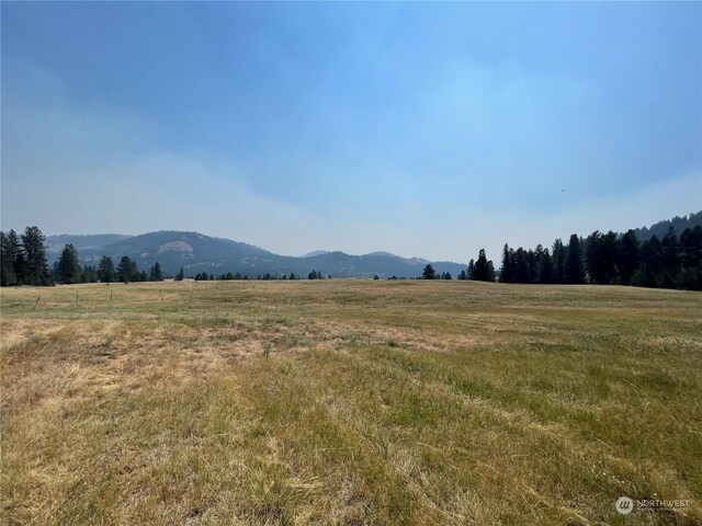 Listing photo 2 for 0 Malo Lake Rd, Malo WA 99150