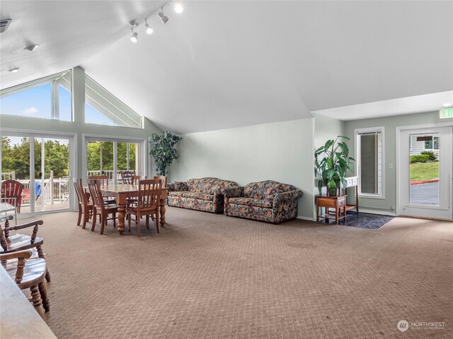 carpeted dining area with track lighting and high vaulted ceiling