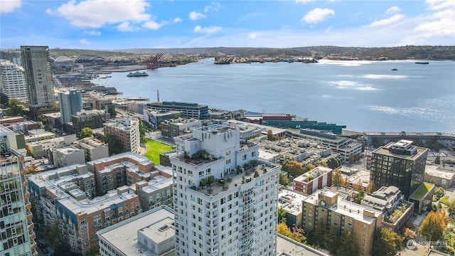 bird's eye view with a water view