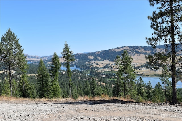 113 Boulder Way, Republic WA, 99166 land for sale