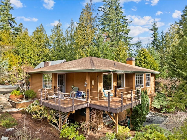 back of property with roof with shingles and a chimney