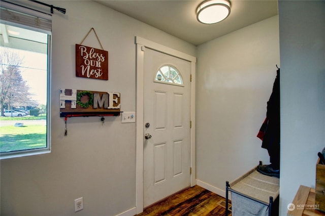 entryway featuring a wealth of natural light and dark hardwood / wood-style floors