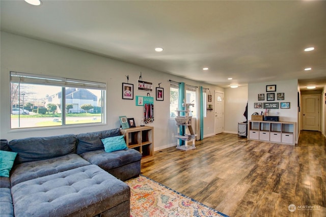 living room with wood-type flooring and plenty of natural light